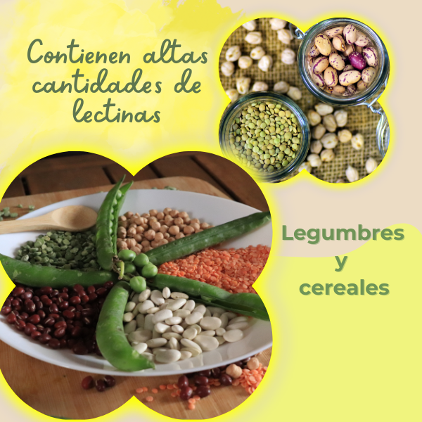 Alimentos con lectinas